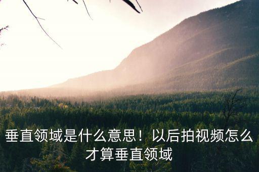 垂直領(lǐng)域是什么意思！以后拍視頻怎么才算垂直領(lǐng)域
