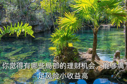你覺得有哪些局部的理財機會，能夠滿足風(fēng)險小收益高