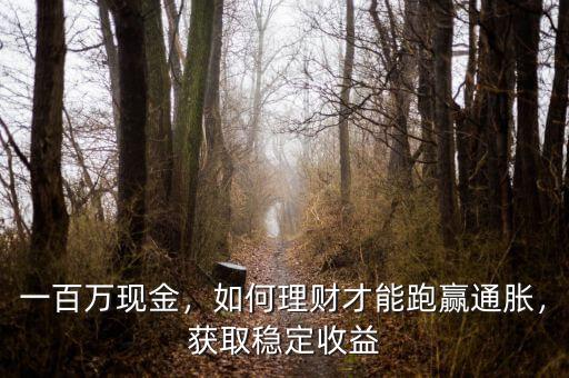 一百萬(wàn)現(xiàn)金，如何理財(cái)才能跑贏通脹，獲取穩(wěn)定收益