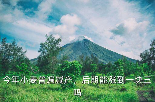 今年小麥普遍減產(chǎn)，后期能漲到一塊三嗎