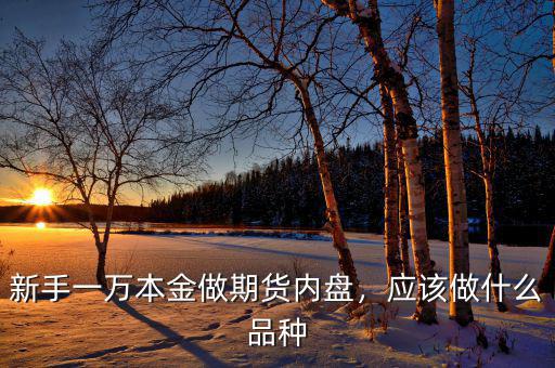 新手一萬(wàn)本金做期貨內(nèi)盤(pán)，應(yīng)該做什么品種