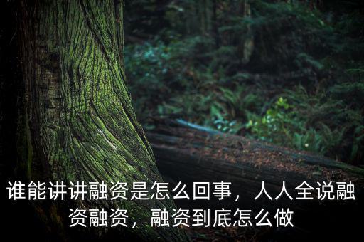 誰能講講融資是怎么回事，人人全說融資融資，融資到底怎么做