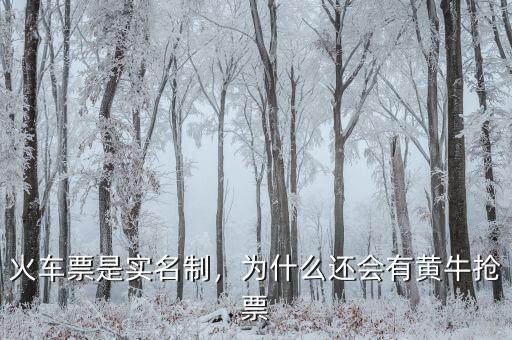 火車票是實名制，為什么還會有黃牛搶票