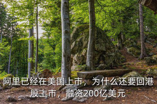 阿里已經(jīng)在美國上市，為什么還要回港股上市，融資200億美元