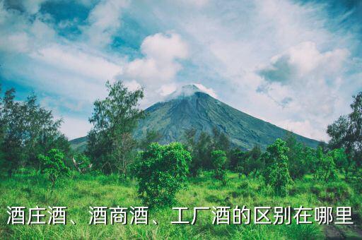 酒莊酒、酒商酒、工廠酒的區(qū)別在哪里