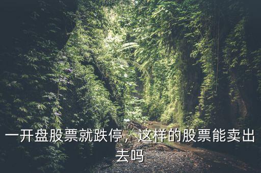 一開盤股票就跌停，這樣的股票能賣出去嗎
