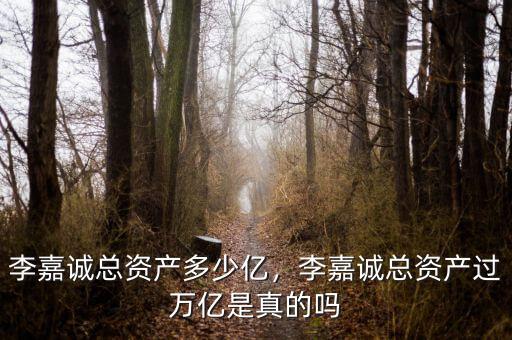 李嘉誠總資產多少億，李嘉誠總資產過萬億是真的嗎