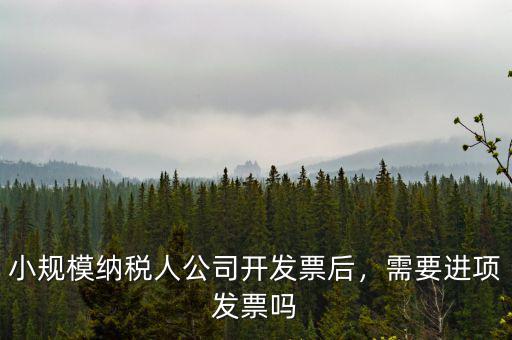 小規(guī)模納稅人公司開發(fā)票后，需要進項發(fā)票嗎