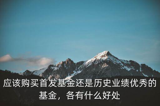 應(yīng)該購(gòu)買(mǎi)首發(fā)基金還是歷史業(yè)績(jī)優(yōu)秀的基金，各有什么好處