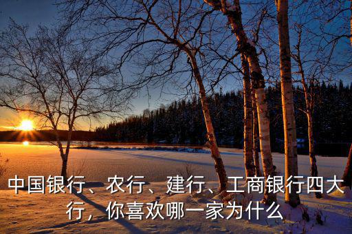 中國(guó)銀行、農(nóng)行、建行、工商銀行四大行，你喜歡哪一家為什么