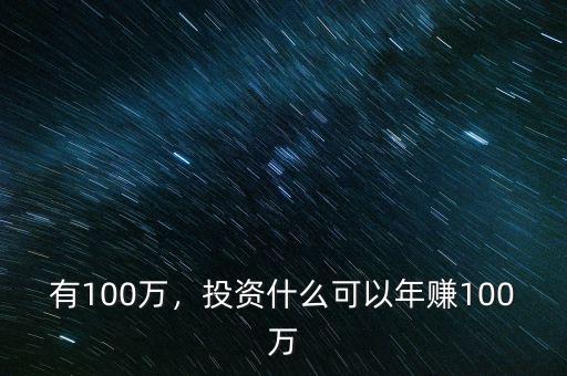 有100萬，投資什么可以年賺100萬