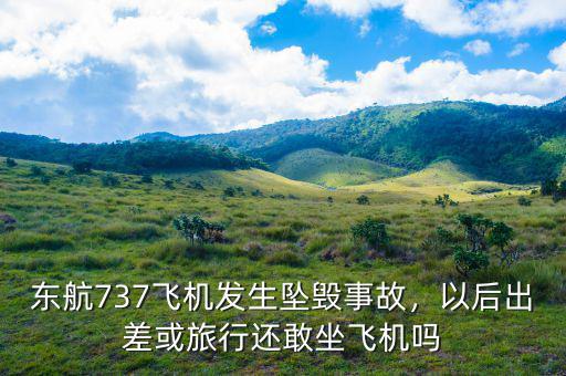 東航737飛機(jī)發(fā)生墜毀事故，以后出差或旅行還敢坐飛機(jī)嗎