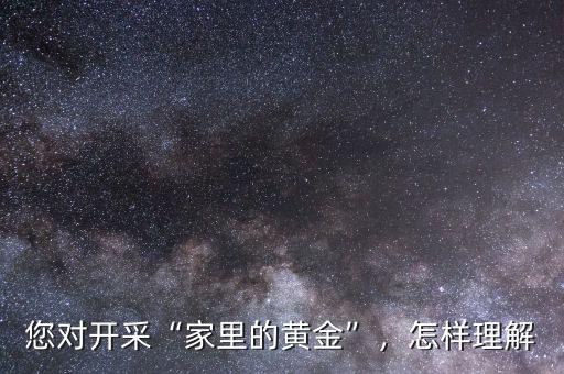 您對(duì)開采“家里的黃金”，怎樣理解