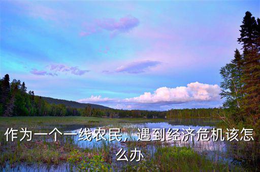 作為一個一線農民，遇到經濟危機該怎么辦