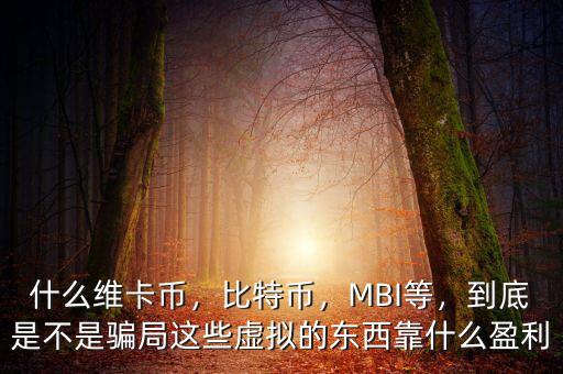 什么維卡幣，比特幣，MBI等，到底是不是騙局這些虛擬的東西靠什么盈利