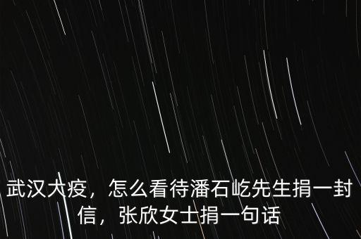 武漢大疫，怎么看待潘石屹先生捐一封信，張欣女士捐一句話