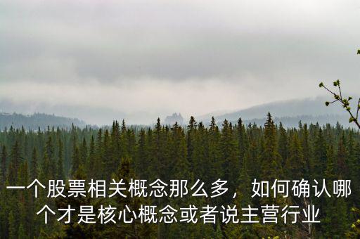 一個股票相關(guān)概念那么多，如何確認哪個才是核心概念或者說主營行業(yè)