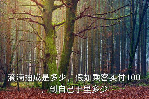 滴滴抽成是多少，假如乘客實(shí)付100，到自己手里多少