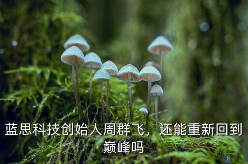 藍(lán)思科技創(chuàng)始人周群飛，還能重新回到巔峰嗎