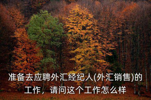 準備去應聘外匯經(jīng)紀人(外匯銷售)的工作，請問這個工作怎么樣