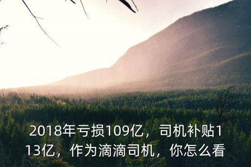2018年虧損109億，司機(jī)補(bǔ)貼113億，作為滴滴司機(jī)，你怎么看