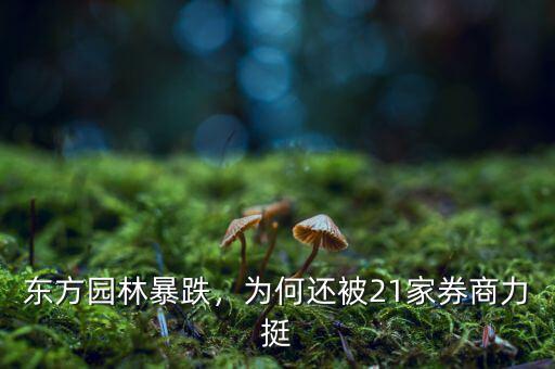 東方園林暴跌，為何還被21家券商力挺