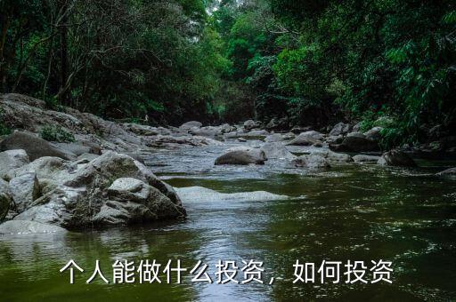個人能做什么投資，如何投資