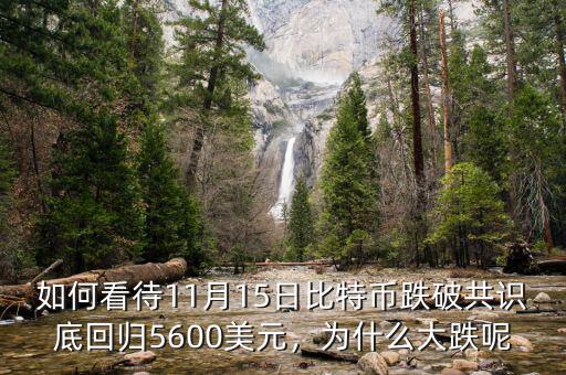 如何看待11月15日比特幣跌破共識(shí)底回歸5600美元，為什么大跌呢