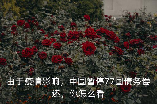 由于疫情影響，中國暫停77國債務償還，你怎么看
