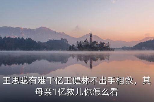 王思聰有難千億王健林不出手相救，其母親1億救兒你怎么看