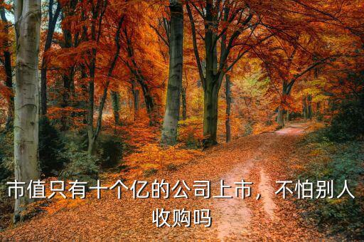 市值只有十個(gè)億的公司上市，不怕別人收購(gòu)嗎