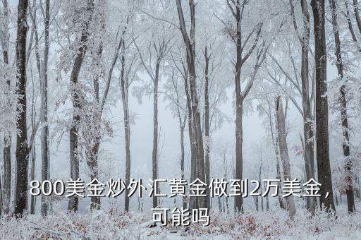 800美金炒外匯黃金做到2萬美金，可能嗎