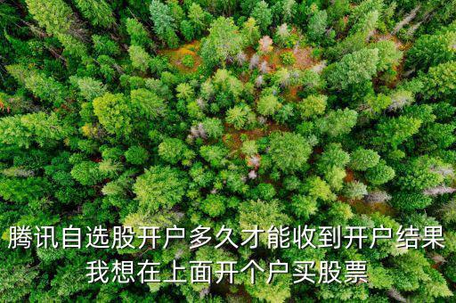 騰訊自選股開(kāi)戶多久才能收到開(kāi)戶結(jié)果我想在上面開(kāi)個(gè)戶買股票
