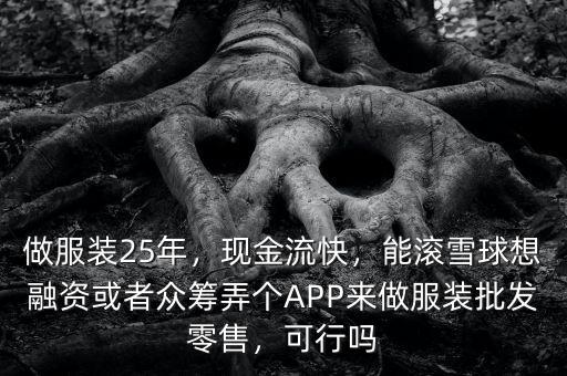 做服裝25年，現(xiàn)金流快，能滾雪球想融資或者眾籌弄個APP來做服裝批發(fā)零售，可行嗎