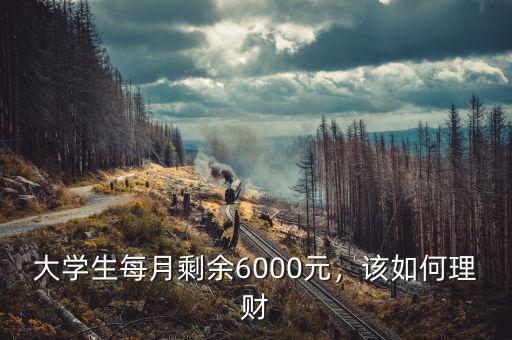 大學(xué)生每月剩余6000元，該如何理財(cái)