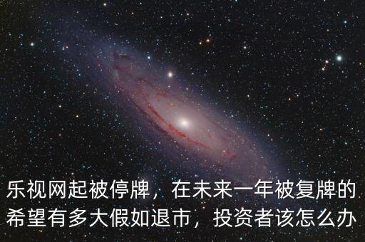 樂視網(wǎng)起被停牌，在未來一年被復牌的希望有多大假如退市，投資者該怎么辦