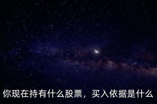 你現(xiàn)在持有什么股票，買入依據(jù)是什么