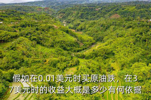 假如在0.01美元時買原油跌，在37美元時的收益大概是多少有何依據