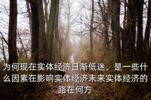 中國(guó)實(shí)體經(jīng)濟(jì)的具體問題是什么,未來實(shí)體經(jīng)濟(jì)的路在何方