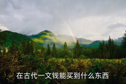古時(shí)候用什么買(mǎi)東西,那他們燒菜用什么代替