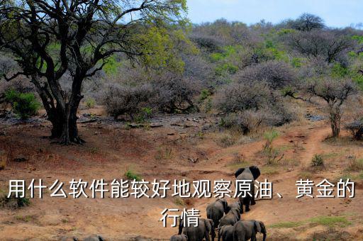 用什么軟件能較好地觀察原油、黃金的行情