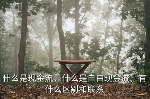 什么是現(xiàn)金流，什么是自由現(xiàn)金流，有什么區(qū)別和聯(lián)系