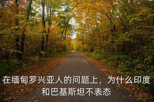 在緬甸羅興亞人的問題上，為什么印度和巴基斯坦不表態(tài)