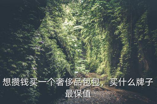想攢錢買一個(gè)奢侈品包包，買什么牌子最保值