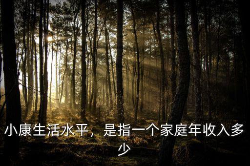 小康生活水平，是指一個(gè)家庭年收入多少