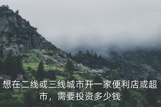 想做城市ppp需要投資多少錢(qián),投資一個(gè)小超市大概要多少錢(qián)