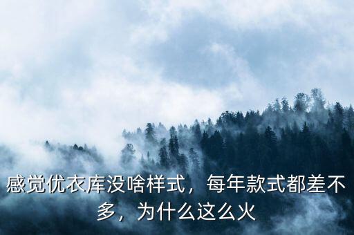感覺(jué)優(yōu)衣庫(kù)沒(méi)啥樣式，每年款式都差不多，為什么這么火