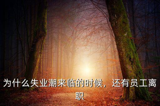 為什么失業(yè)潮來臨的時候，還有員工離職