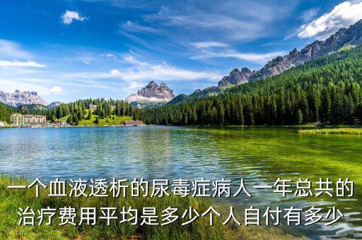 大病治療平均費(fèi)用是多少,個人自付有多少