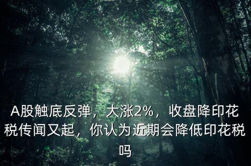A股觸底反彈，大漲2%，收盤降印花稅傳聞又起，你認(rèn)為近期會降低印花稅嗎